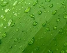 cf刷神器永久网址（穿越火线手游怎么购买永久神器）